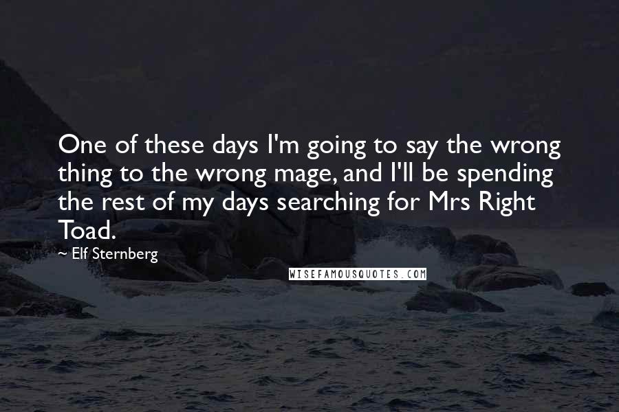 Elf Sternberg Quotes: One of these days I'm going to say the wrong thing to the wrong mage, and I'll be spending the rest of my days searching for Mrs Right Toad.