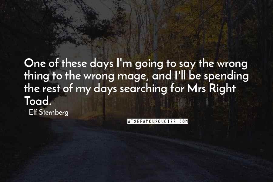 Elf Sternberg Quotes: One of these days I'm going to say the wrong thing to the wrong mage, and I'll be spending the rest of my days searching for Mrs Right Toad.