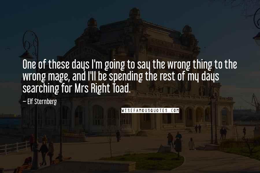 Elf Sternberg Quotes: One of these days I'm going to say the wrong thing to the wrong mage, and I'll be spending the rest of my days searching for Mrs Right Toad.