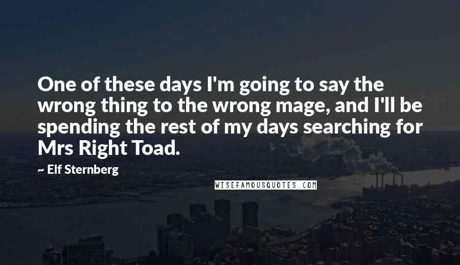 Elf Sternberg Quotes: One of these days I'm going to say the wrong thing to the wrong mage, and I'll be spending the rest of my days searching for Mrs Right Toad.