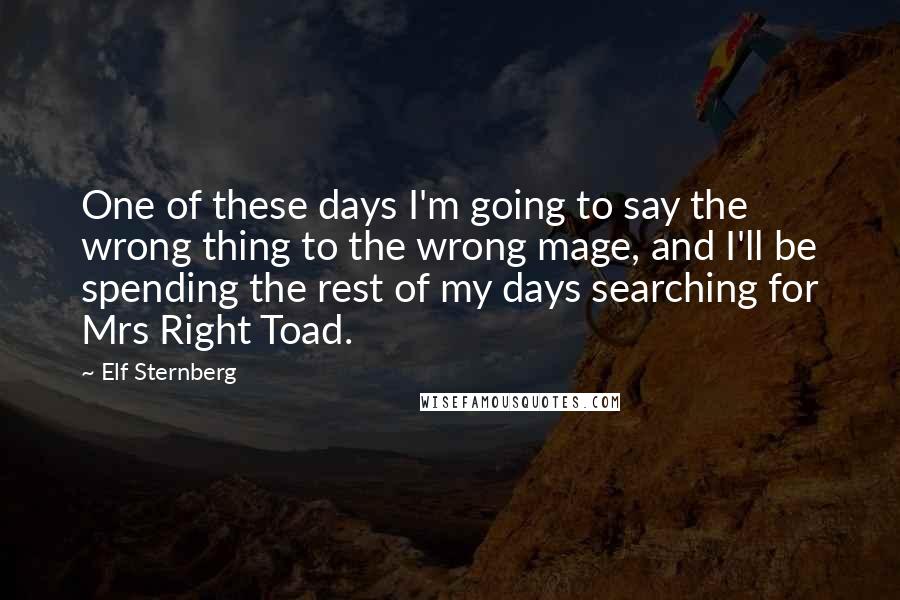 Elf Sternberg Quotes: One of these days I'm going to say the wrong thing to the wrong mage, and I'll be spending the rest of my days searching for Mrs Right Toad.