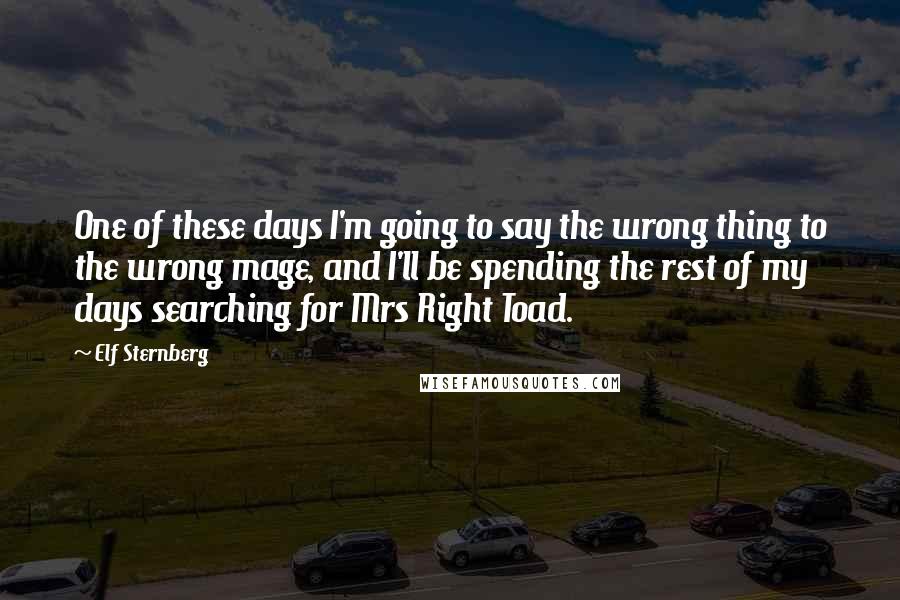 Elf Sternberg Quotes: One of these days I'm going to say the wrong thing to the wrong mage, and I'll be spending the rest of my days searching for Mrs Right Toad.