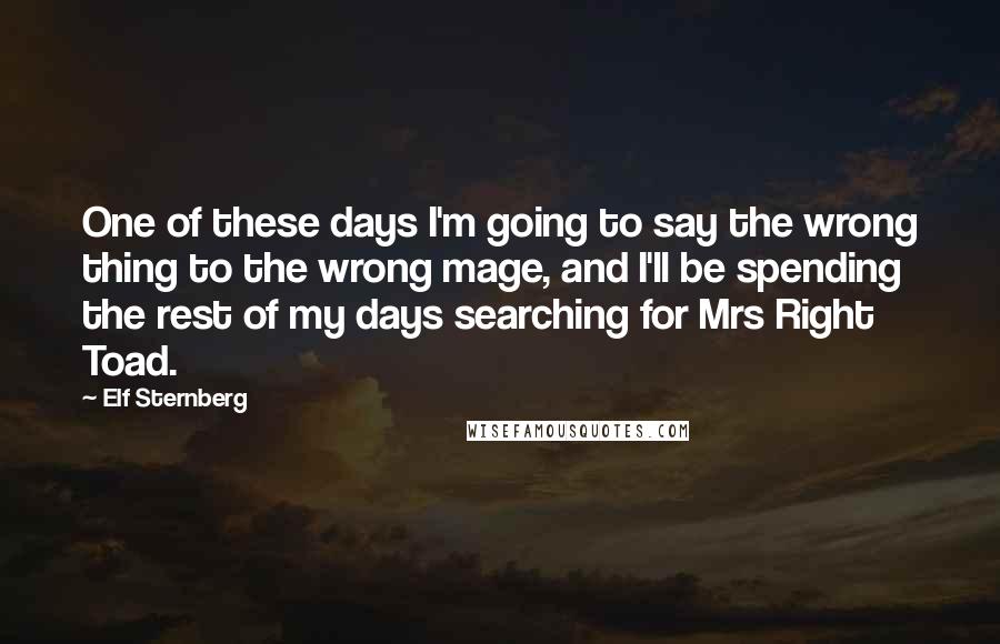 Elf Sternberg Quotes: One of these days I'm going to say the wrong thing to the wrong mage, and I'll be spending the rest of my days searching for Mrs Right Toad.