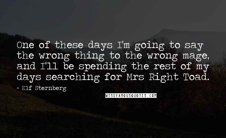 Elf Sternberg Quotes: One of these days I'm going to say the wrong thing to the wrong mage, and I'll be spending the rest of my days searching for Mrs Right Toad.
