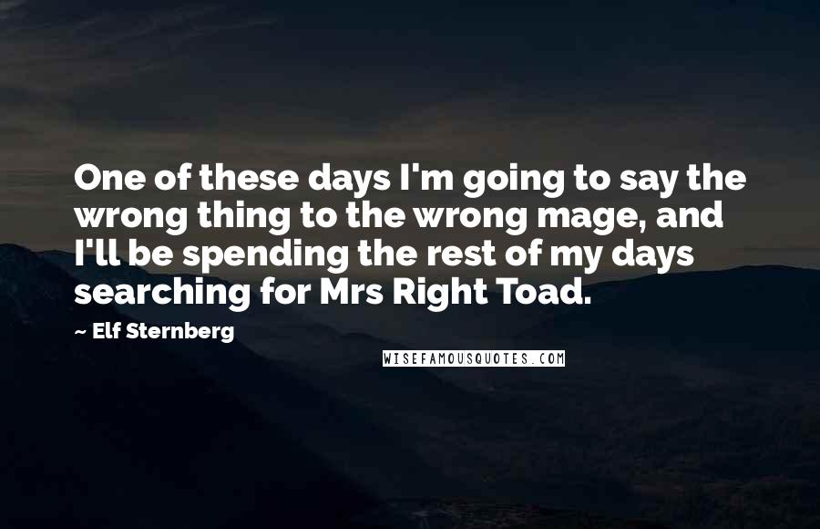 Elf Sternberg Quotes: One of these days I'm going to say the wrong thing to the wrong mage, and I'll be spending the rest of my days searching for Mrs Right Toad.