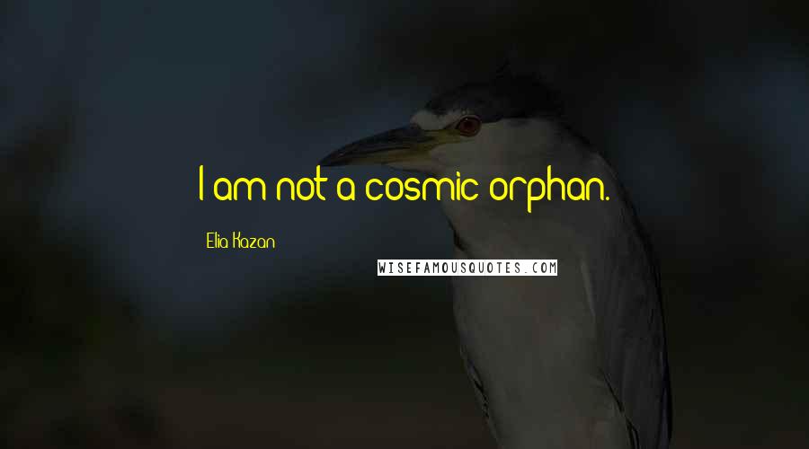 Elia Kazan Quotes: I am not a cosmic orphan.