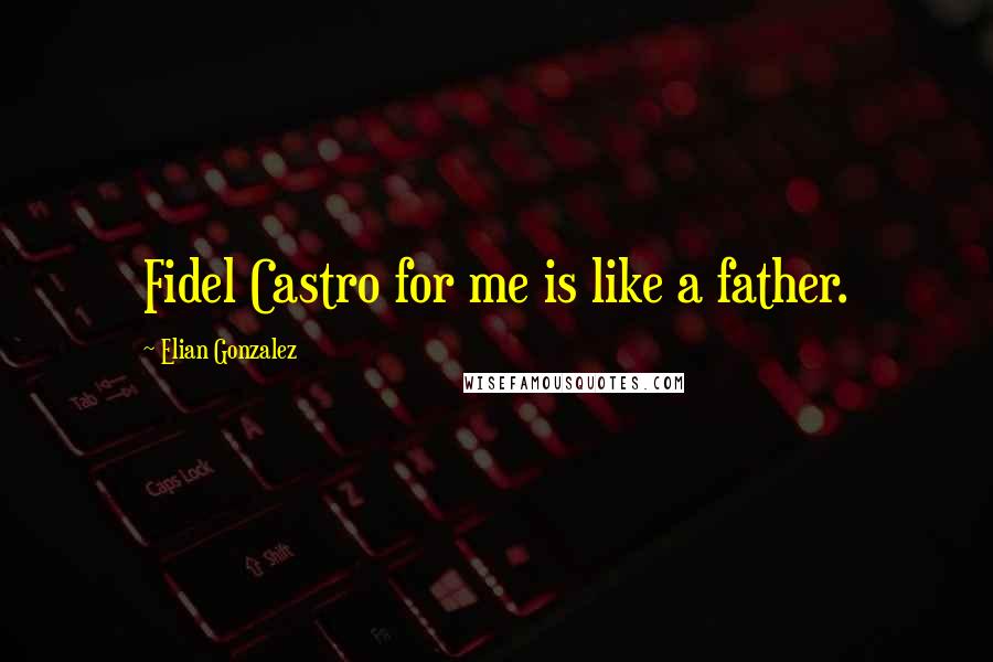 Elian Gonzalez Quotes: Fidel Castro for me is like a father.