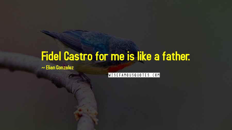 Elian Gonzalez Quotes: Fidel Castro for me is like a father.