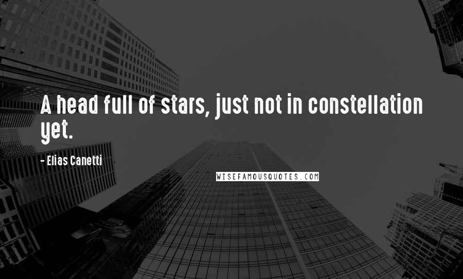 Elias Canetti Quotes: A head full of stars, just not in constellation yet.