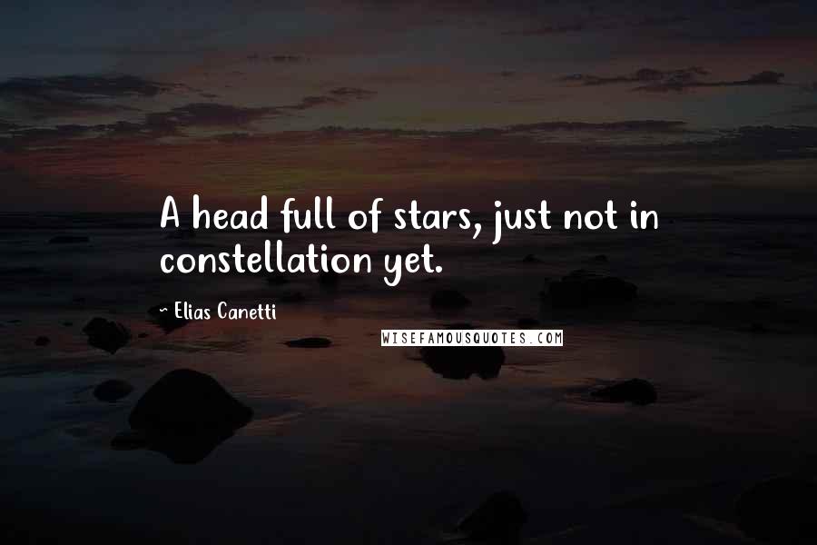 Elias Canetti Quotes: A head full of stars, just not in constellation yet.