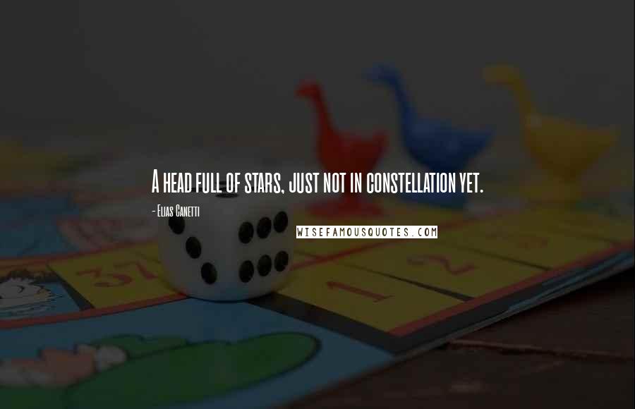 Elias Canetti Quotes: A head full of stars, just not in constellation yet.