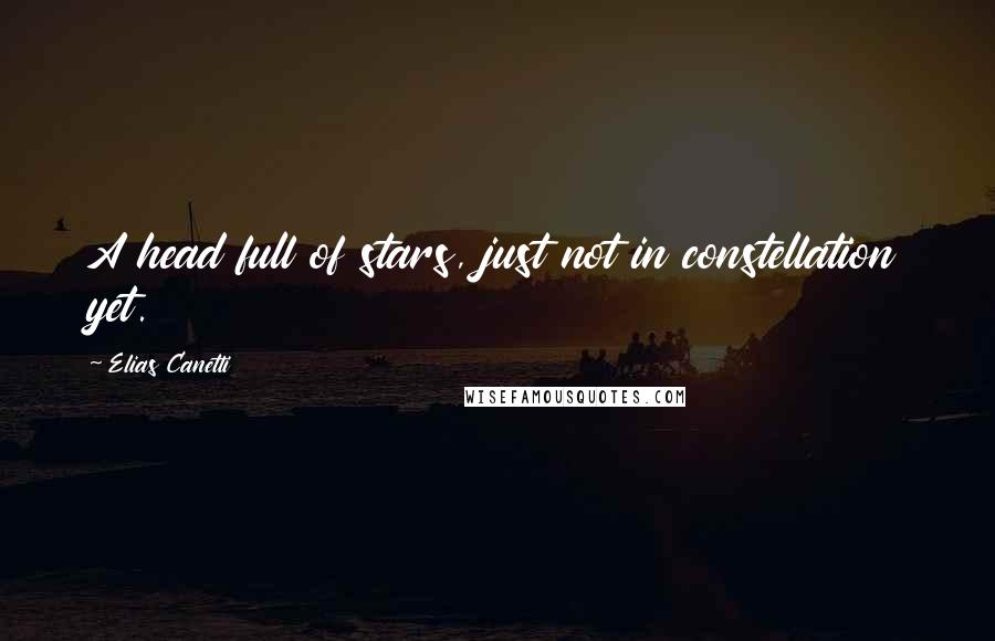 Elias Canetti Quotes: A head full of stars, just not in constellation yet.