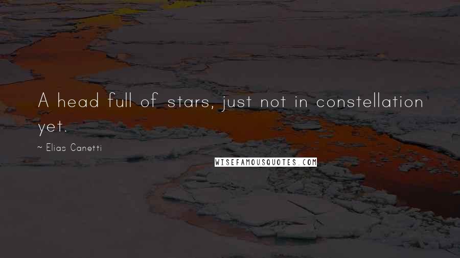 Elias Canetti Quotes: A head full of stars, just not in constellation yet.