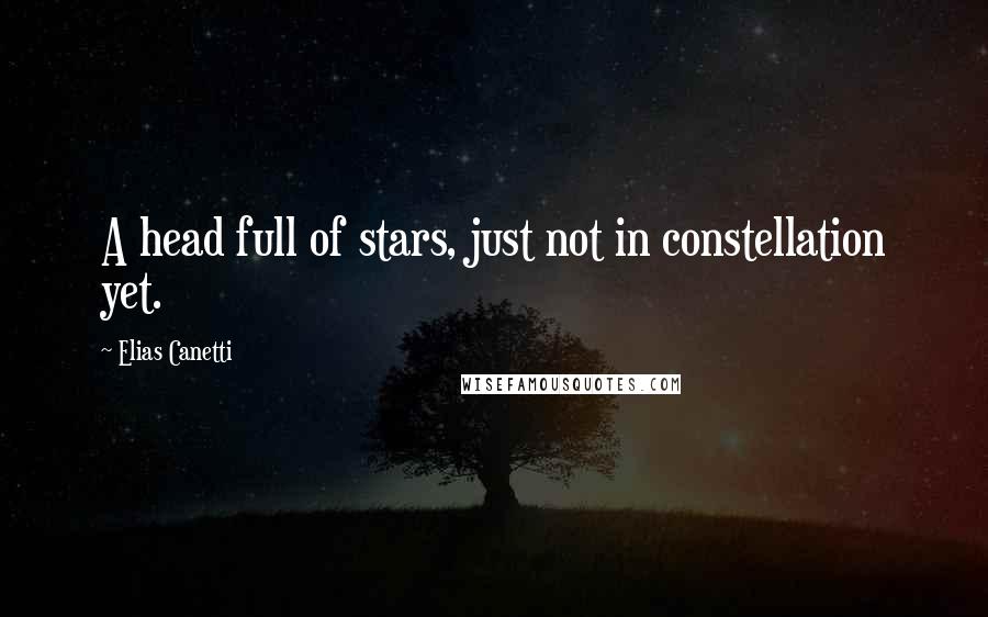 Elias Canetti Quotes: A head full of stars, just not in constellation yet.