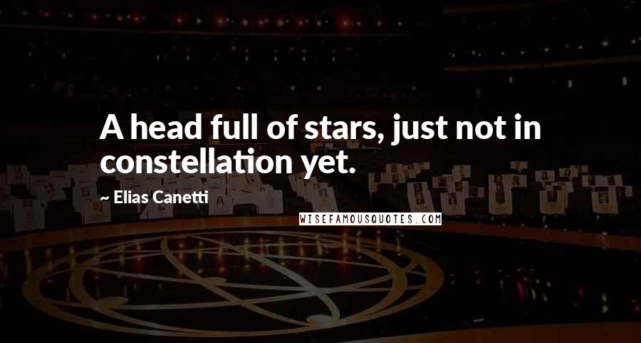 Elias Canetti Quotes: A head full of stars, just not in constellation yet.