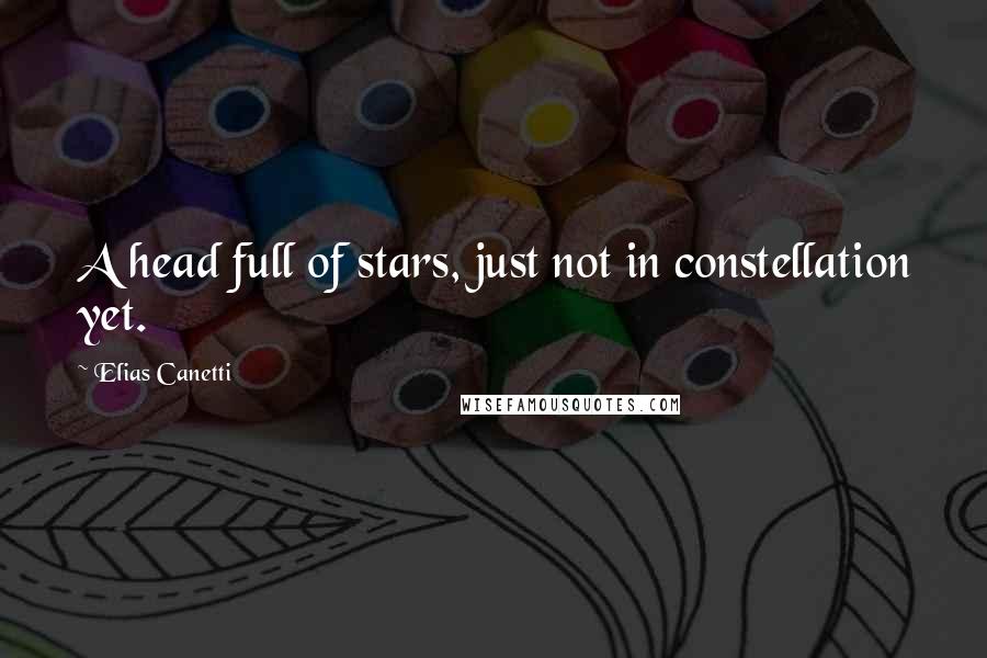 Elias Canetti Quotes: A head full of stars, just not in constellation yet.