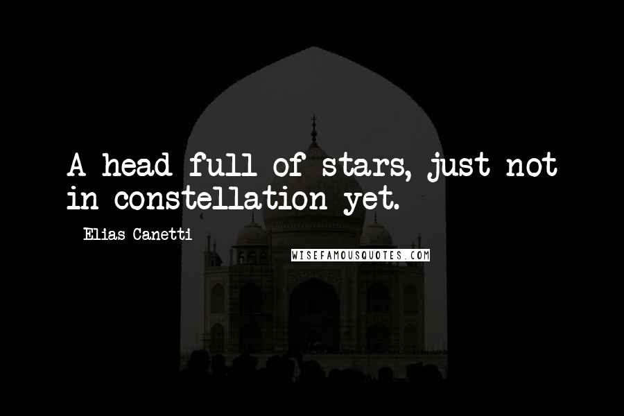 Elias Canetti Quotes: A head full of stars, just not in constellation yet.