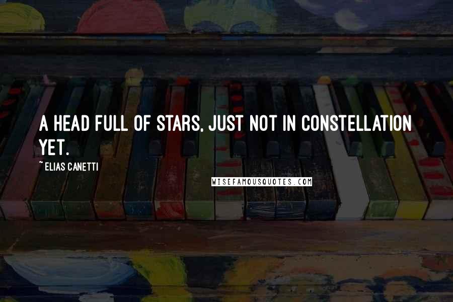 Elias Canetti Quotes: A head full of stars, just not in constellation yet.