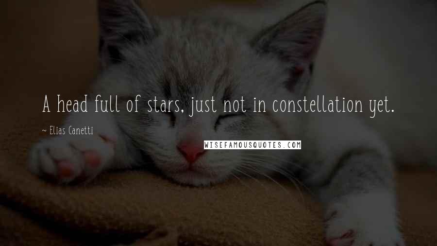 Elias Canetti Quotes: A head full of stars, just not in constellation yet.