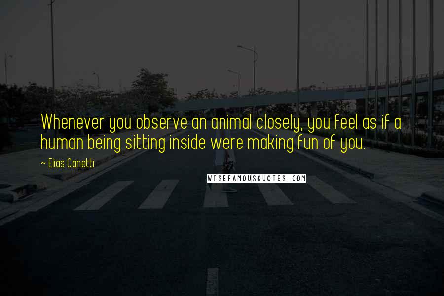 Elias Canetti Quotes: Whenever you observe an animal closely, you feel as if a human being sitting inside were making fun of you.