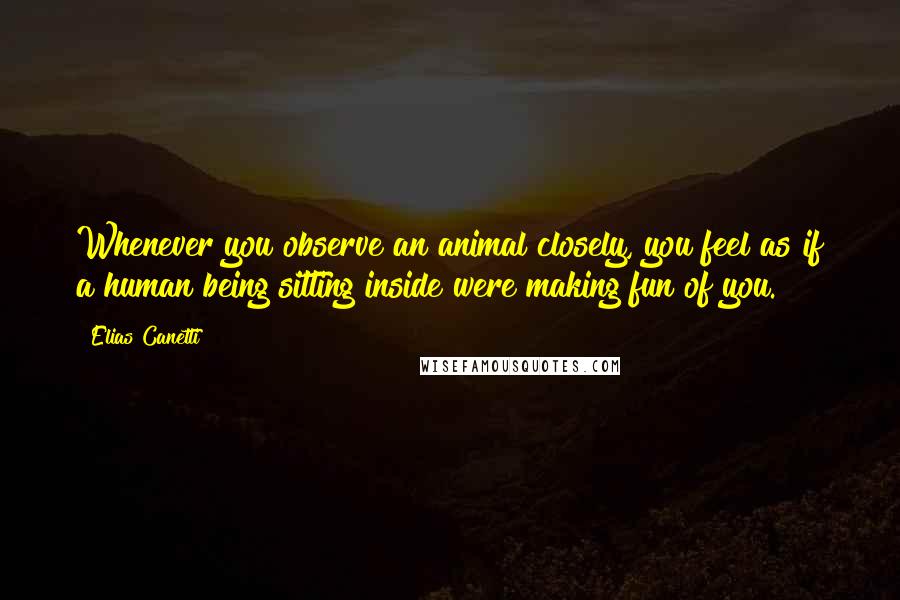 Elias Canetti Quotes: Whenever you observe an animal closely, you feel as if a human being sitting inside were making fun of you.