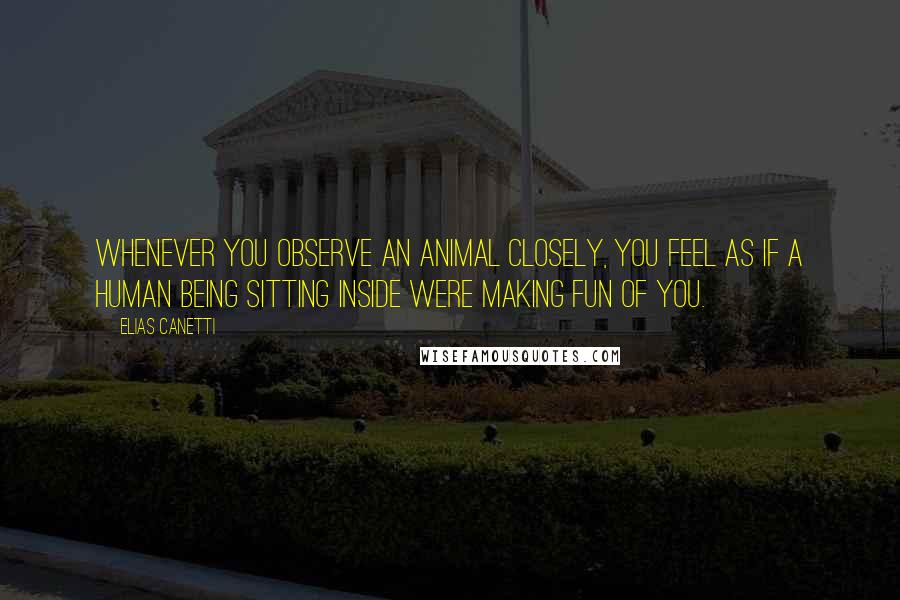 Elias Canetti Quotes: Whenever you observe an animal closely, you feel as if a human being sitting inside were making fun of you.