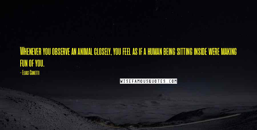 Elias Canetti Quotes: Whenever you observe an animal closely, you feel as if a human being sitting inside were making fun of you.