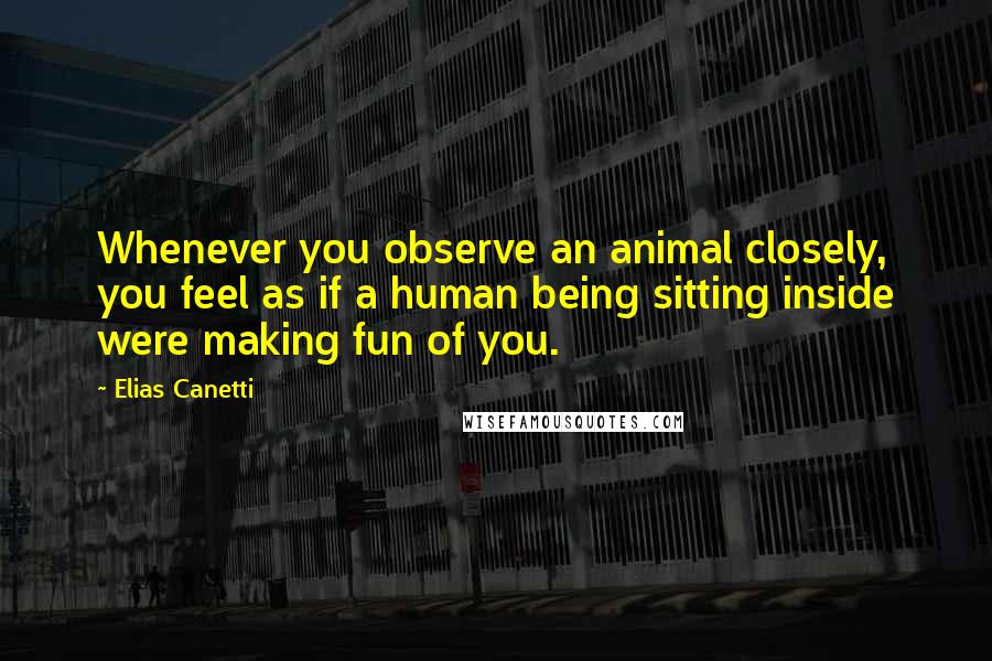 Elias Canetti Quotes: Whenever you observe an animal closely, you feel as if a human being sitting inside were making fun of you.