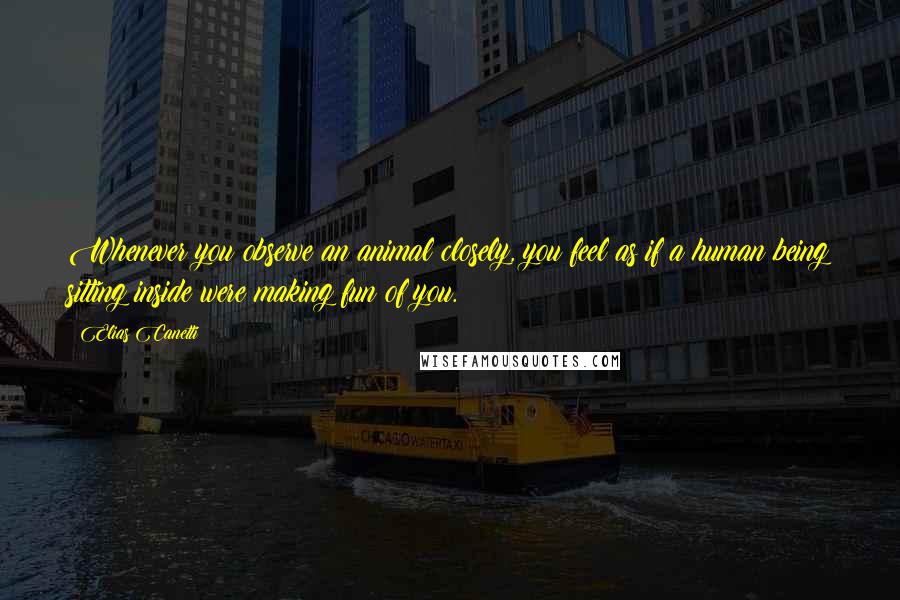 Elias Canetti Quotes: Whenever you observe an animal closely, you feel as if a human being sitting inside were making fun of you.