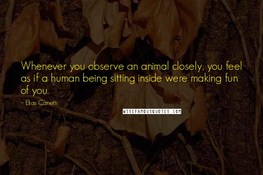 Elias Canetti Quotes: Whenever you observe an animal closely, you feel as if a human being sitting inside were making fun of you.