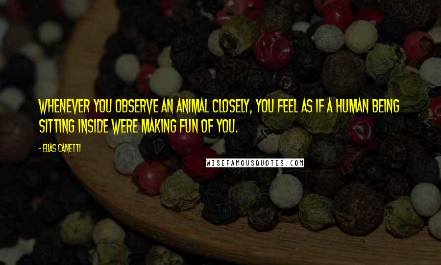 Elias Canetti Quotes: Whenever you observe an animal closely, you feel as if a human being sitting inside were making fun of you.