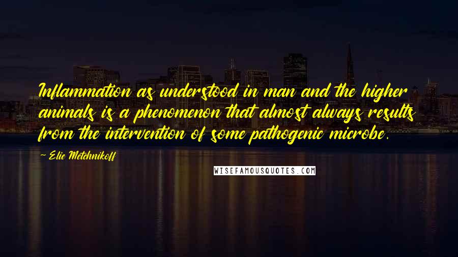 Elie Metchnikoff Quotes: Inflammation as understood in man and the higher animals is a phenomenon that almost always results from the intervention of some pathogenic microbe.