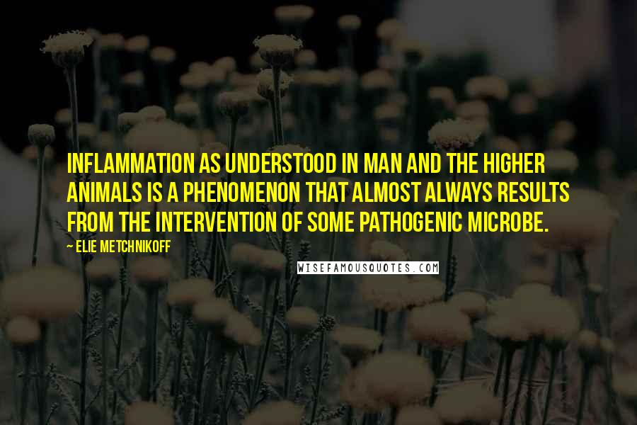 Elie Metchnikoff Quotes: Inflammation as understood in man and the higher animals is a phenomenon that almost always results from the intervention of some pathogenic microbe.