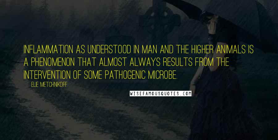 Elie Metchnikoff Quotes: Inflammation as understood in man and the higher animals is a phenomenon that almost always results from the intervention of some pathogenic microbe.