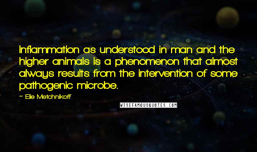 Elie Metchnikoff Quotes: Inflammation as understood in man and the higher animals is a phenomenon that almost always results from the intervention of some pathogenic microbe.