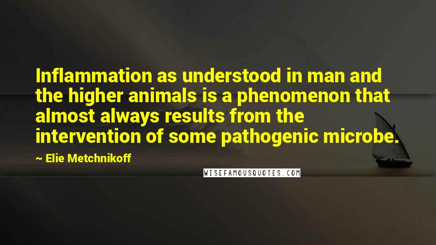 Elie Metchnikoff Quotes: Inflammation as understood in man and the higher animals is a phenomenon that almost always results from the intervention of some pathogenic microbe.