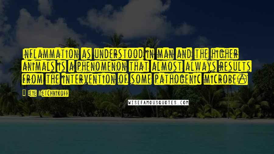 Elie Metchnikoff Quotes: Inflammation as understood in man and the higher animals is a phenomenon that almost always results from the intervention of some pathogenic microbe.