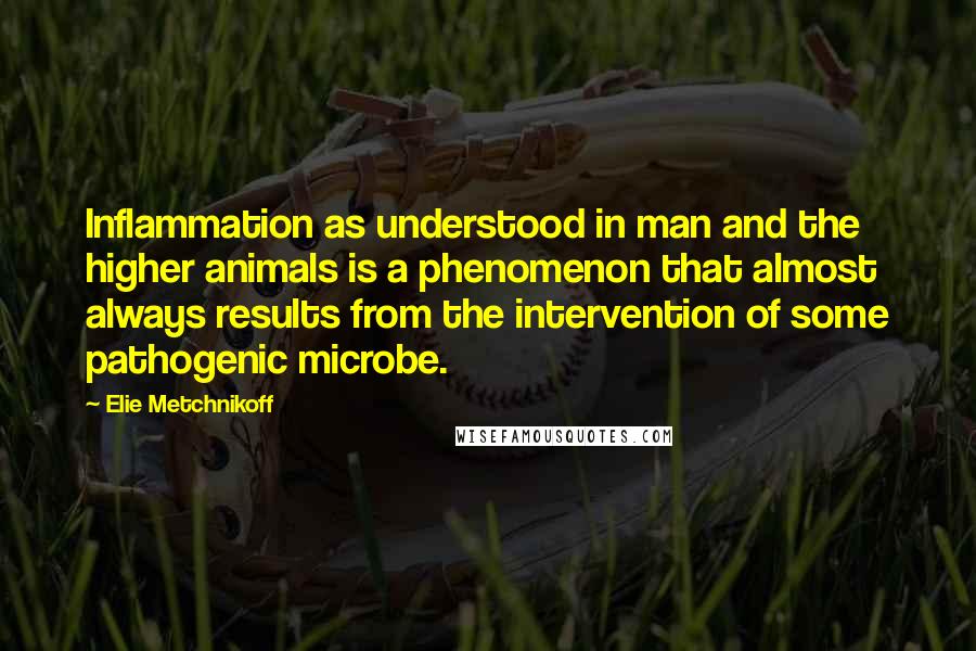 Elie Metchnikoff Quotes: Inflammation as understood in man and the higher animals is a phenomenon that almost always results from the intervention of some pathogenic microbe.