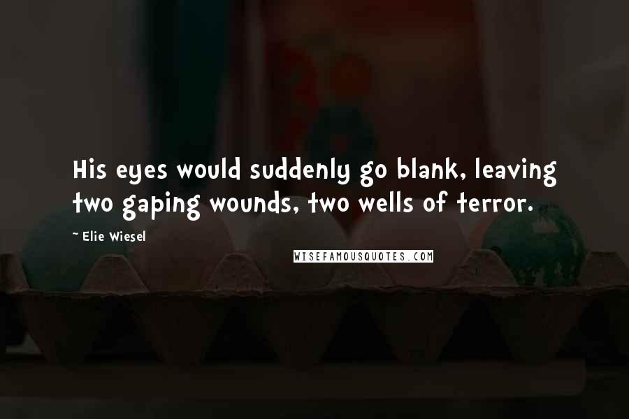 Elie Wiesel Quotes: His eyes would suddenly go blank, leaving two gaping wounds, two wells of terror.