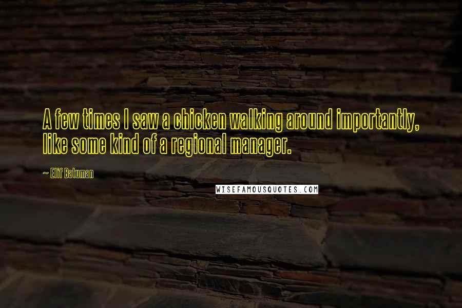 Elif Batuman Quotes: A few times I saw a chicken walking around importantly, like some kind of a regional manager.