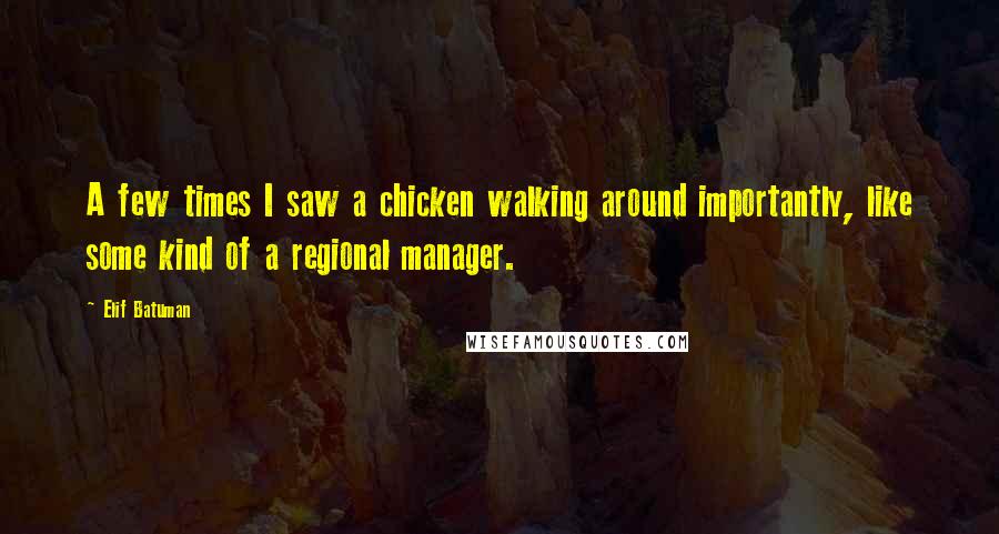 Elif Batuman Quotes: A few times I saw a chicken walking around importantly, like some kind of a regional manager.