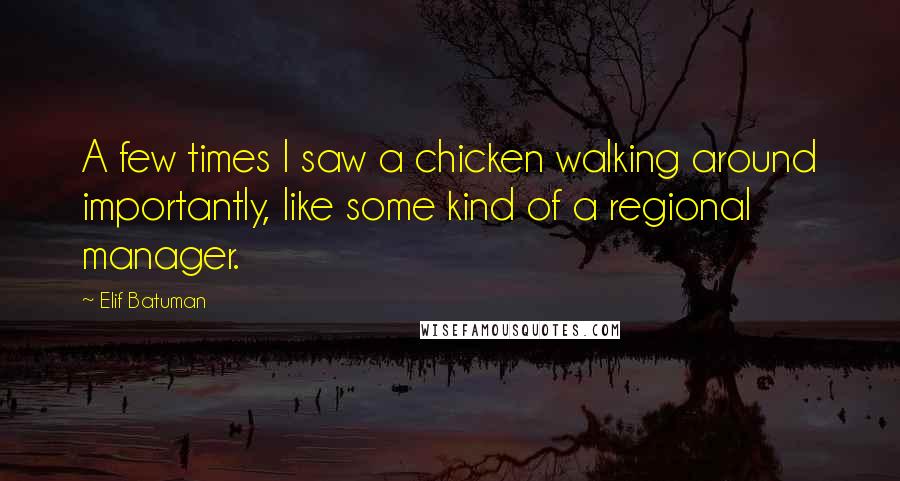 Elif Batuman Quotes: A few times I saw a chicken walking around importantly, like some kind of a regional manager.