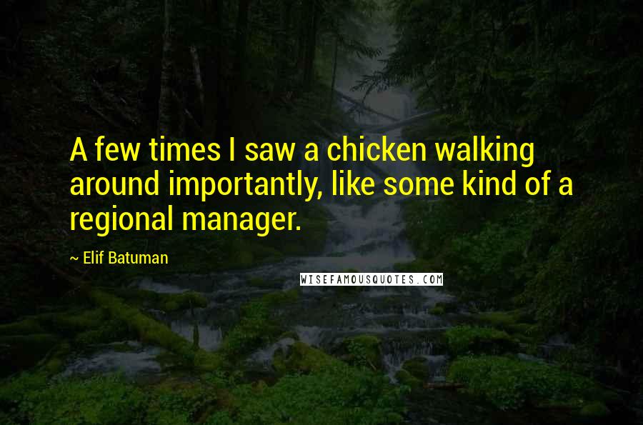 Elif Batuman Quotes: A few times I saw a chicken walking around importantly, like some kind of a regional manager.
