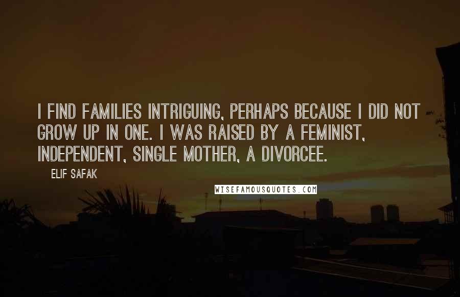 Elif Safak Quotes: I find families intriguing, perhaps because I did not grow up in one. I was raised by a feminist, independent, single mother, a divorcee.