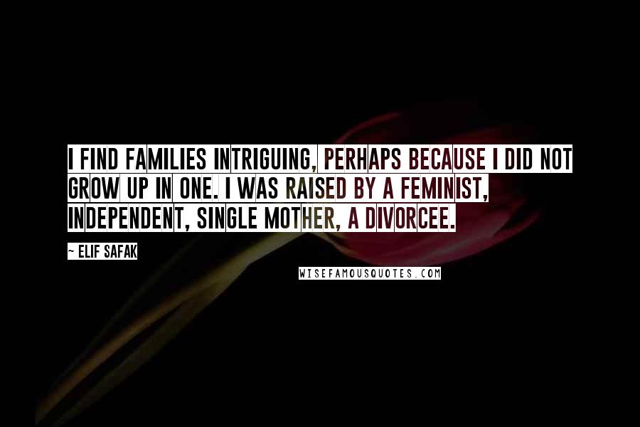 Elif Safak Quotes: I find families intriguing, perhaps because I did not grow up in one. I was raised by a feminist, independent, single mother, a divorcee.