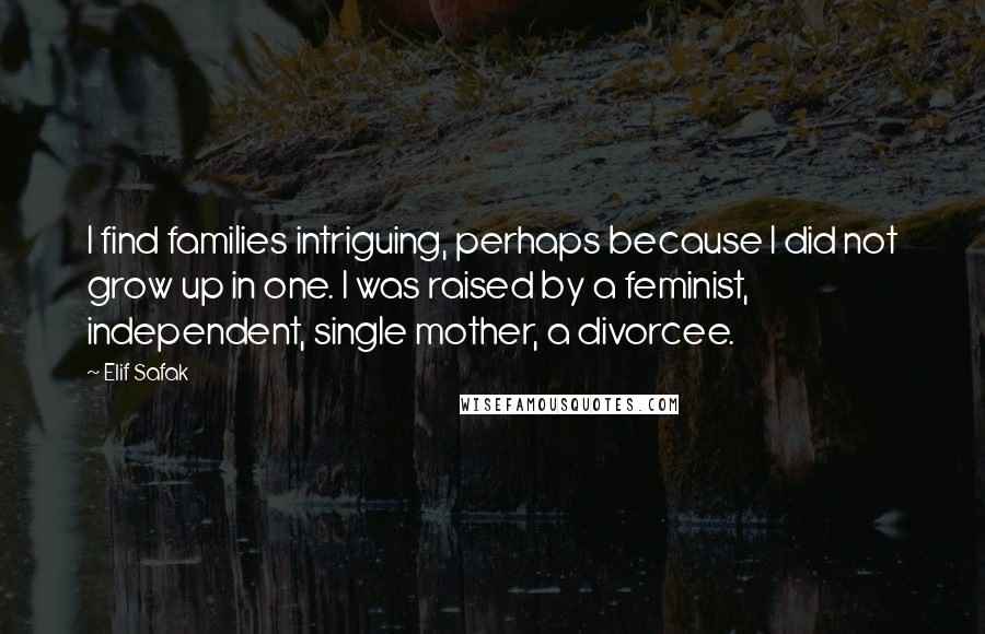 Elif Safak Quotes: I find families intriguing, perhaps because I did not grow up in one. I was raised by a feminist, independent, single mother, a divorcee.