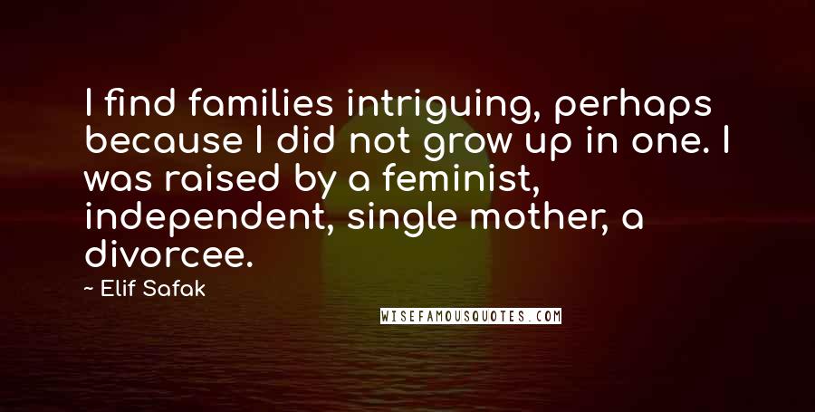 Elif Safak Quotes: I find families intriguing, perhaps because I did not grow up in one. I was raised by a feminist, independent, single mother, a divorcee.