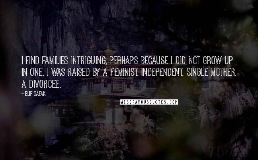 Elif Safak Quotes: I find families intriguing, perhaps because I did not grow up in one. I was raised by a feminist, independent, single mother, a divorcee.