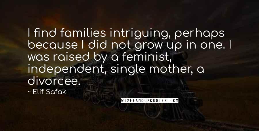 Elif Safak Quotes: I find families intriguing, perhaps because I did not grow up in one. I was raised by a feminist, independent, single mother, a divorcee.