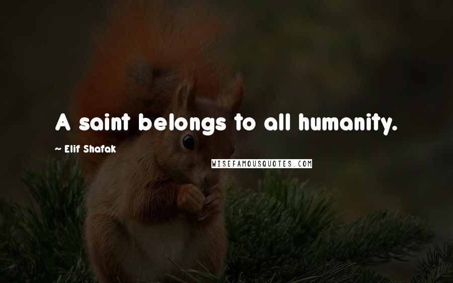Elif Shafak Quotes: A saint belongs to all humanity.